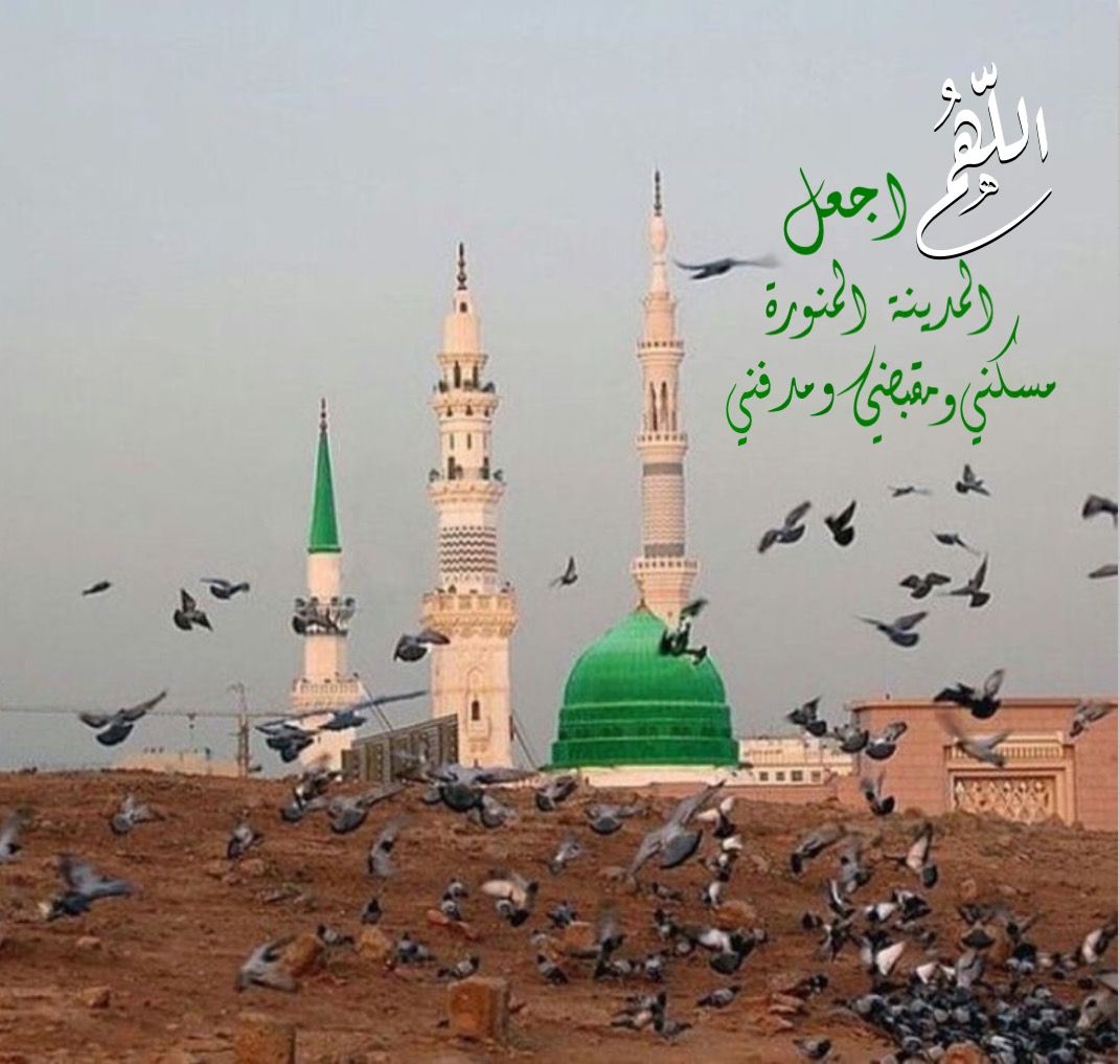 أجمل العبارات الجديدة عن المدينة المنورة
