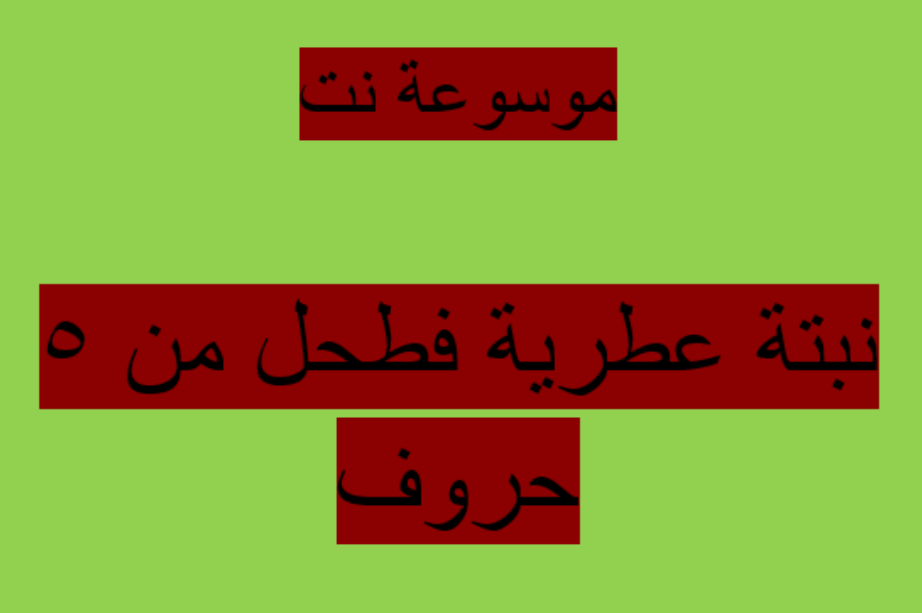 نبتة عطرية فطحل من 5 حروف