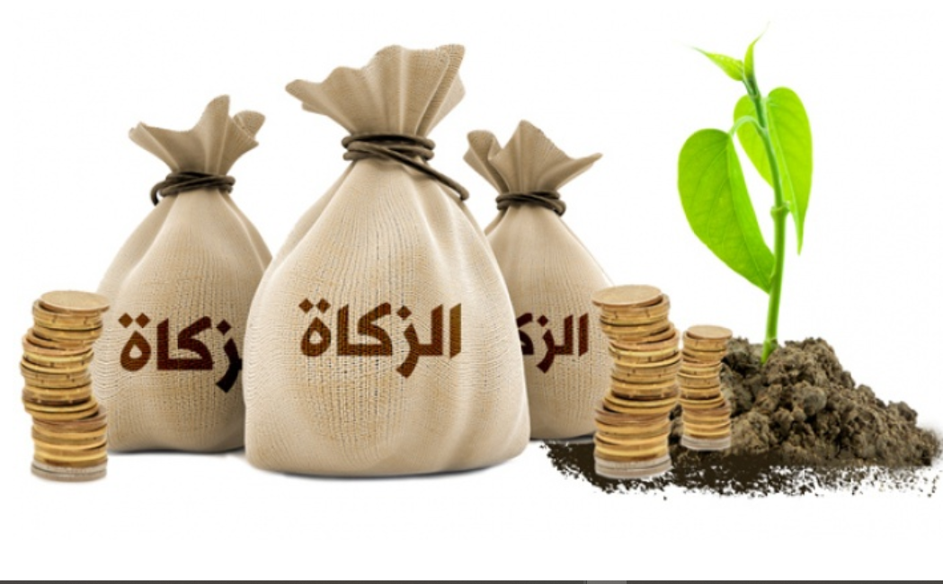 احكام زكاة الفطر في الاسلام