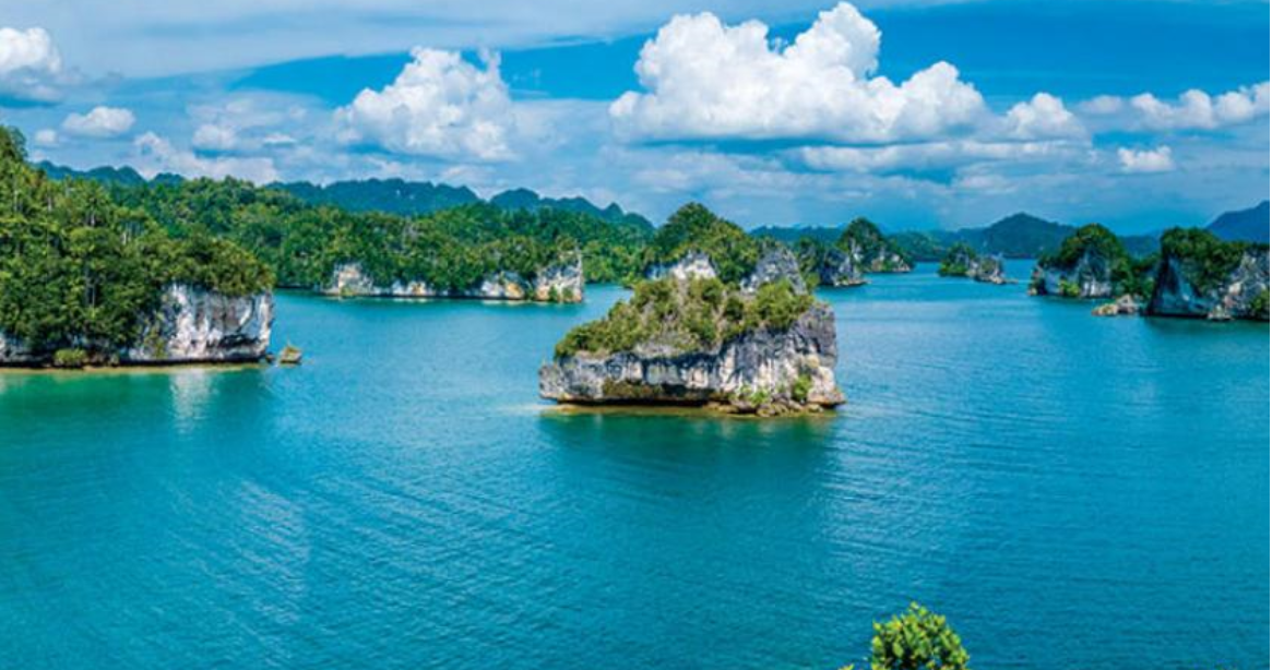 ما هي اكبر دولة اسلامية من حيث عدد السكان