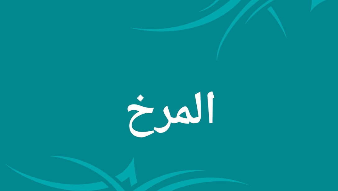 ماذا يسمى ثمر شجر المرخ