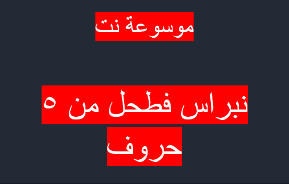 نبراس فطحل من 5 حروف