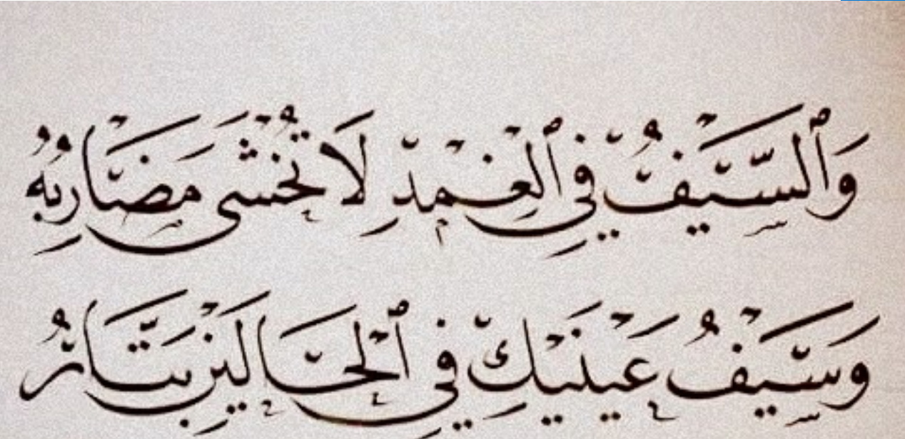 شرح بيت والسيف في الغمد لا تخشى مضاربه وسيف عينيك