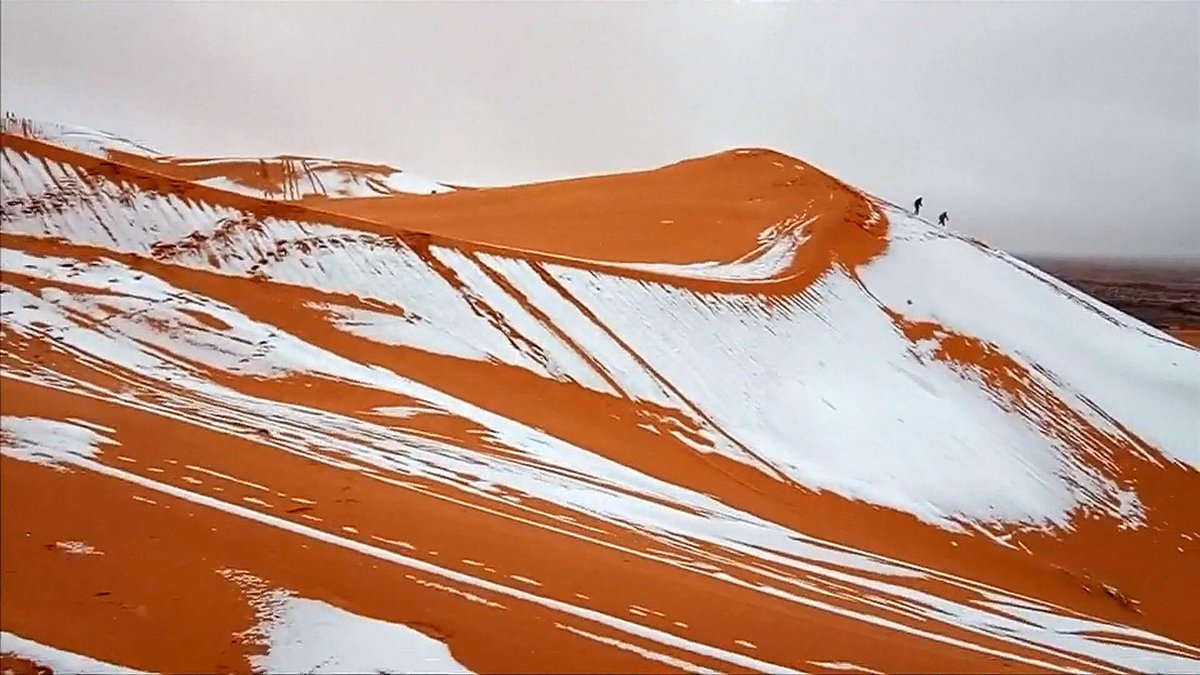 هل تساقط الثلج في الصحراء الكبرى