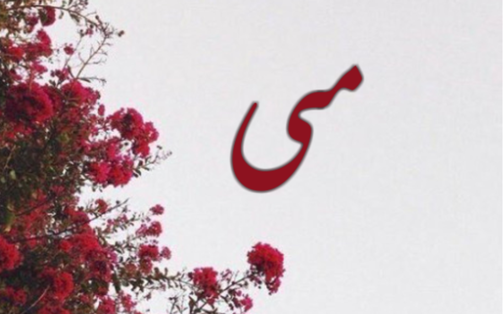 معنى اسم مي في معاجم اللغة