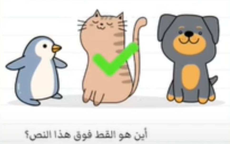 أين هو القط فوق هذا النص Brain Test المرحلة 35