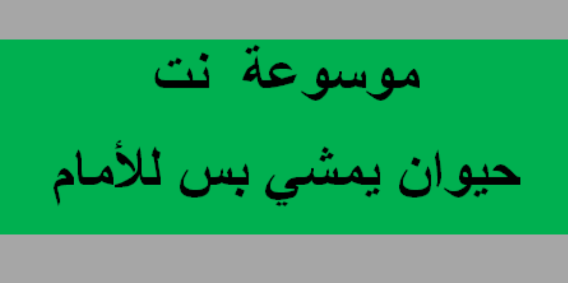 حيوان يمشي بس للامام