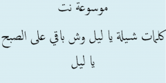 كلمات شيلة ياليل وش باقي على الصبح ياليل