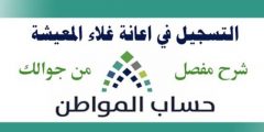 طريقة التسجيل في بدل غلاء المعيشة