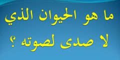 ماهو الحيوان الذي لا يصدر اي صوت