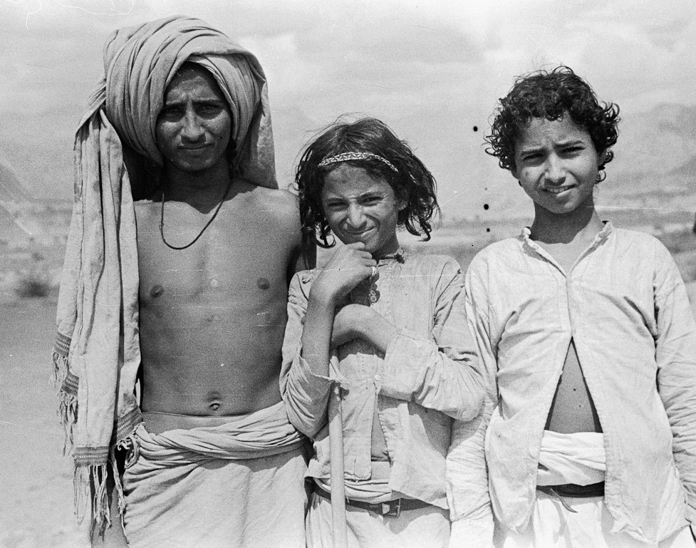 اصل عائلة البارقي