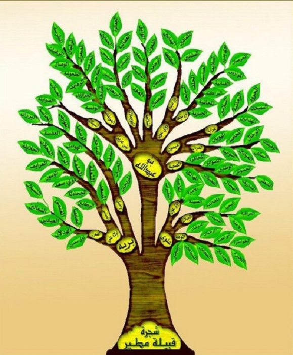 المطيري من أي قبيلة