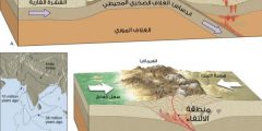 ما هي الحركة التكتونية المسببة لتكوين الجدد والعروق