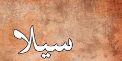 معنى اسم سيلا بالعربي