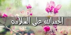 كلمات شيله الحمد لله على السلامه