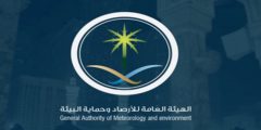 رابط الهيئة العامة للأرصاد وحماية البيئة