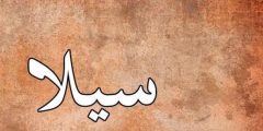 معنى اسم سيلا في القرآن الكريم