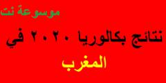 الاستعلام عن نتائج بكالوريا 2020 في المغرب جميع المدن والمحافظات