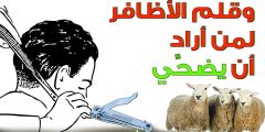 حكم الحلاقة في عشر ذي الحجة