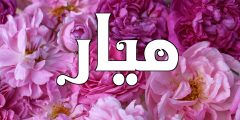 معنى اسم ميار في المعجم العربي وصفاتها