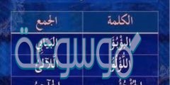 جمع كلمة بؤبؤ في اللغة العربية من 5 حروف