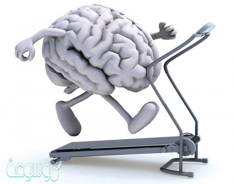 كيف أحسن ذاكرتي وجعلها قوية وطويلة المدى بالطرق الطبيعية