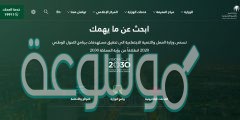 استعلام عن موظف وافد 2020
