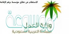 استعلام عن نطاق مؤسسة برقم اقامة بالخطوات والشرح 1442