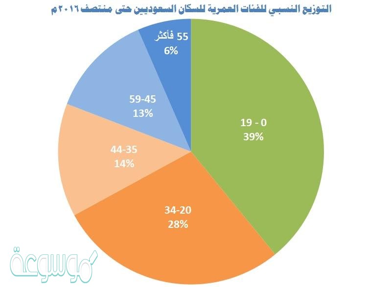 اكثر فئه من السكان في المملكه العربيه السعوديه