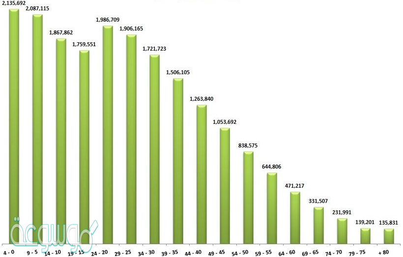 اكثر فئه من السكان في المملكه العربيه السعوديه