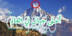 في اي قاره يقع اعلى جبل في العالم