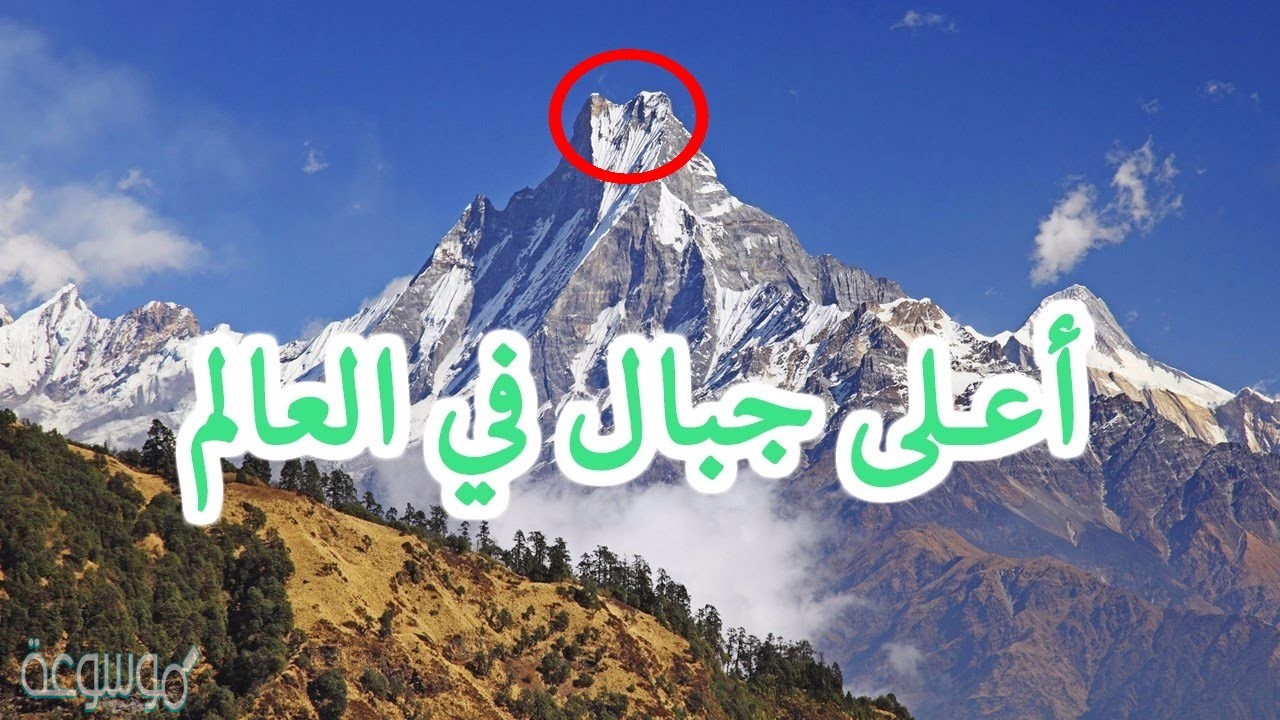 في اي قاره يقع اعلى جبل في العالم