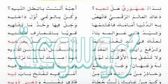 شرح قصيدة نداء الاثير