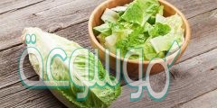اهم فوائد اكل الخس يوميا