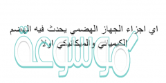 اي اجزاء الجهاز الهضمي يحدث فيه الهضم الكيميائي والميكانيكي اولا