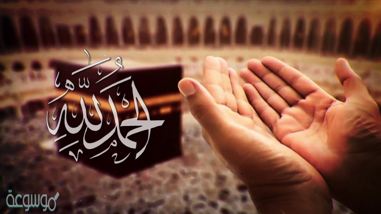 حقيقة شكر الله على الجوارح أن نستعملها في