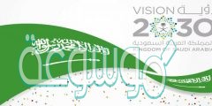 بنيت رؤية المملكة العربية السعودية 2030 على محاور