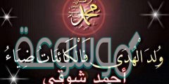 شرح قصيدة ولد الهدى PDF كاملة