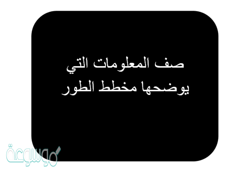 صف المعلومات التي يوضحها مخطط الطور