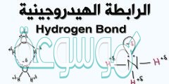 فسر لماذا تكون الروابط الهيدروجينيه اقوى من معظم القوى الثنائيه القطبيه