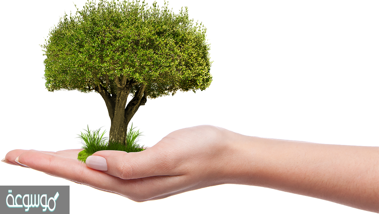 قارن بين دورتين من دورات المواد