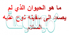 ماهو الحيوان الذي لم يركب الى سفينه نوح ؟