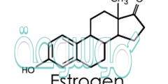 ما هي أهمية هرمون الأستروجين للمرأة