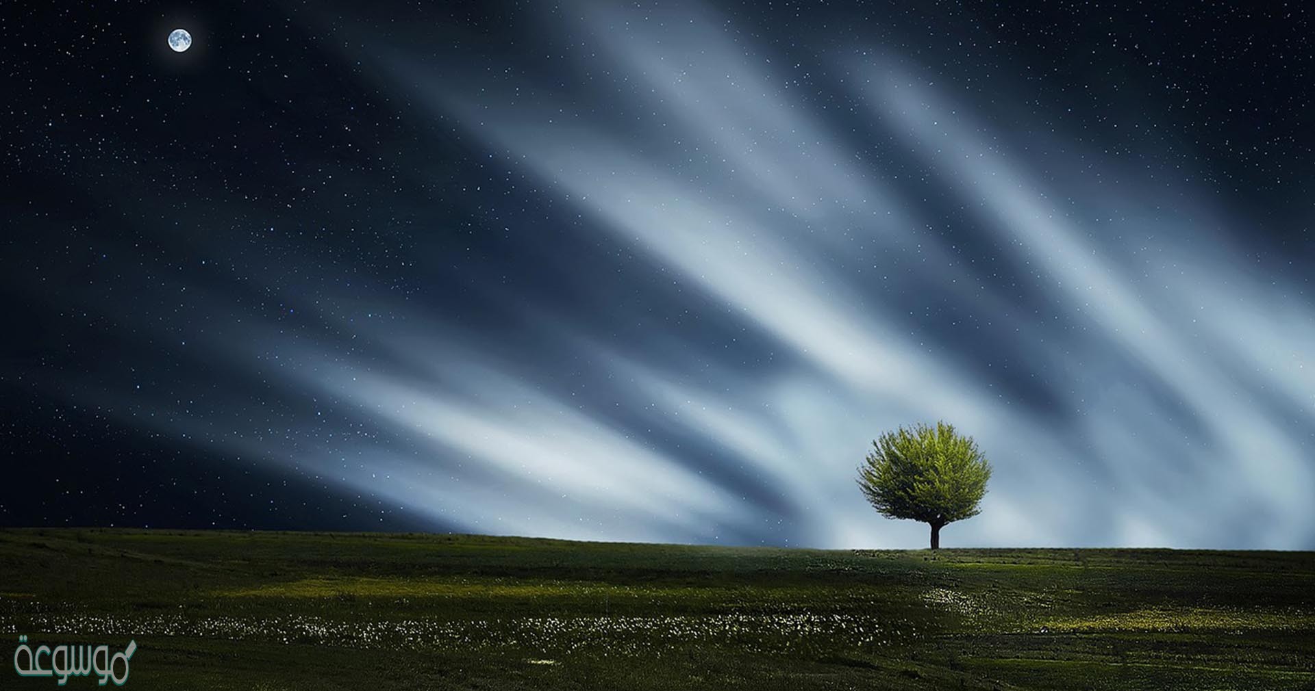 ماهي فروع العلوم