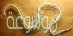 هل الثعبان له عمود فقري