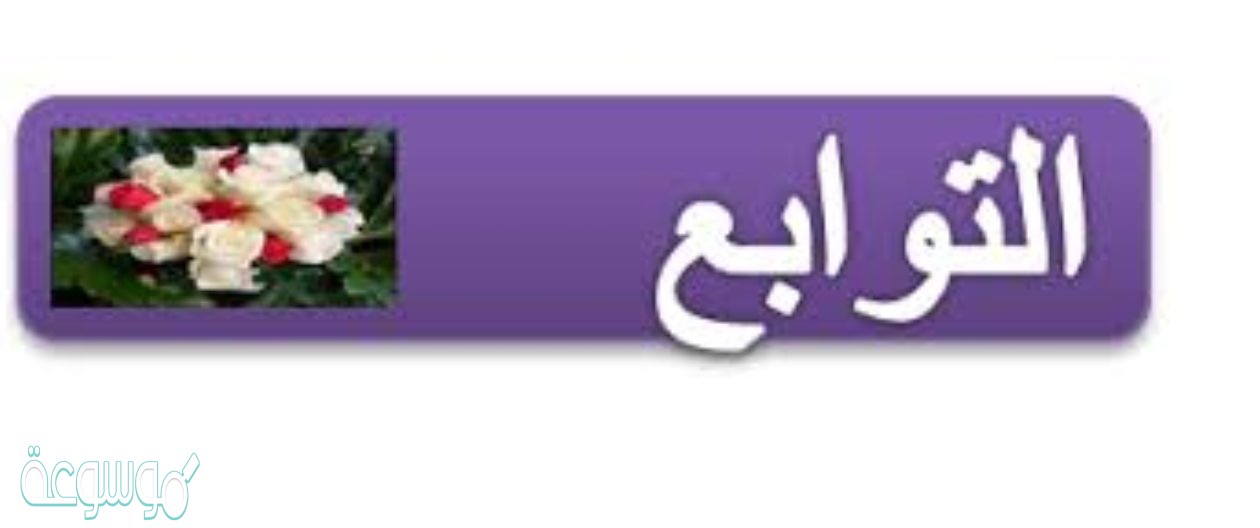 نصر الله الاسلام بالخليفة عمر نوع البدل