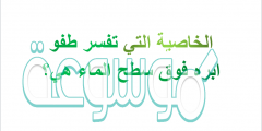 الخاصيه التي تفسر طفو ابره فوق سطح الماء هي؟
