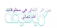 بين اثر التفكر في مخلوقات الله تعالى