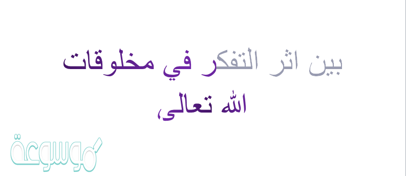 بين اثر التفكر في مخلوقات الله تعالى