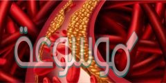 فوائد الكوليسترول لجسم الانسان